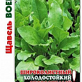 Щавель  Воевода Щавель  Воевода