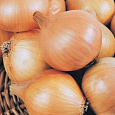 Лук Репчатый Золотничок